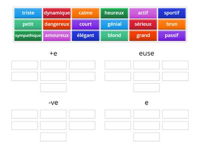 le féminin des adjectifs 