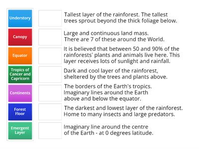 Rainforest Vocabulary