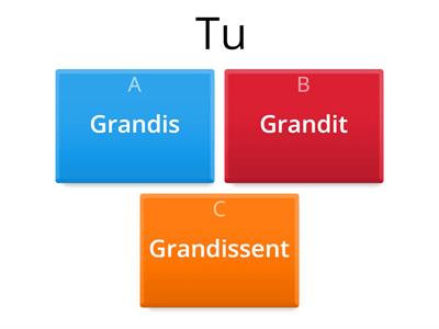 edito L8  Indicatif Présent Verbes en-IR (2ème groupe) 