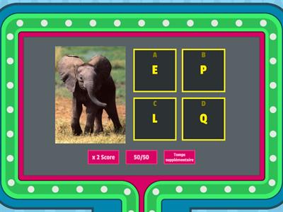 (QUIZZ) l'Alphabet et les animaux FLE enfants A1