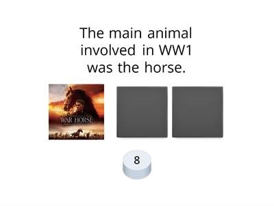 WW1 Animals (War Horse)