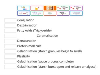 Food Science key terms