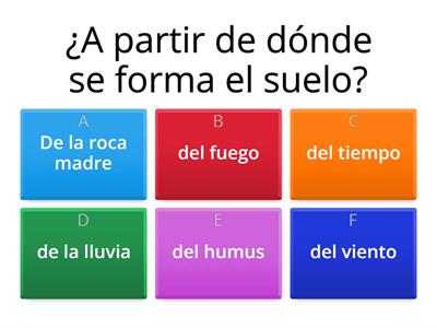 Preguntas :El suelo