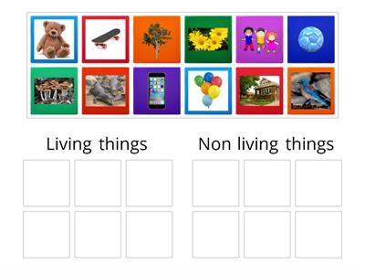 Living things & Non living things