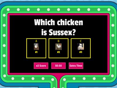 Chicken Quiz