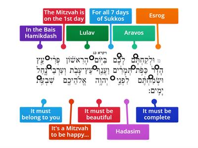 What Do We Learn from the Pasuk? U'likachtem - Mishnayos Sukkah - Perek 3 no pics