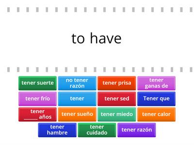 Ec 1 Unit 4  Expressions with tener