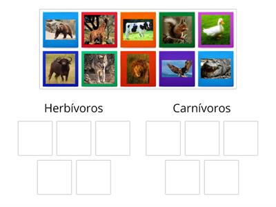 Animales carnívoros y herbívoros