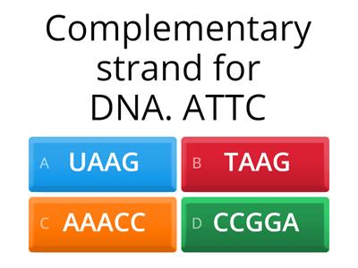 DNA/RNA/PROTEIN SYNTHESIS 