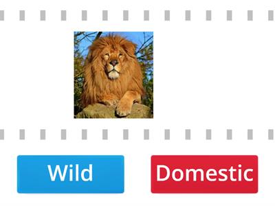 Wild or Domestic