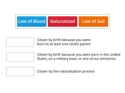 Naturalized vs. Natural Born Citizenship