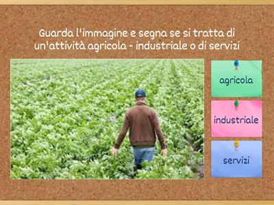 Azienda agricola industriale o di servizi