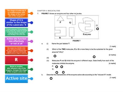 Enzymatic reaction