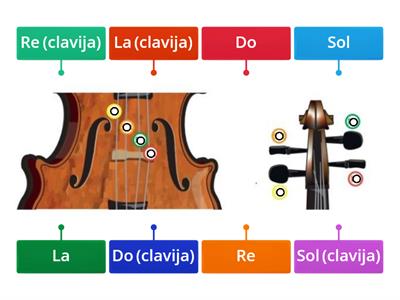 Las cuerdas de tu instrumento (viola).