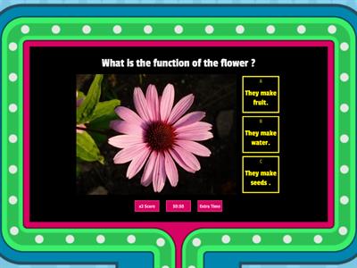 Science Activity about plants 