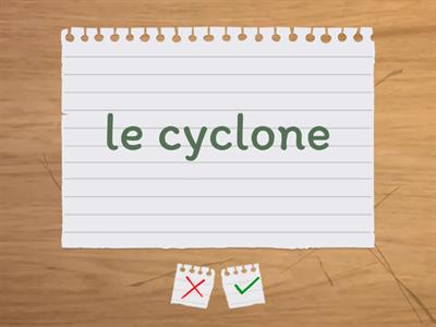 Vocabulaire La météo