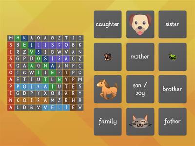 Find the family & animal words in Finnish! 