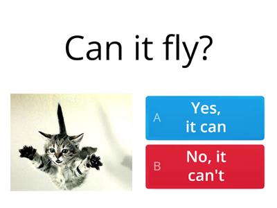 Can it...? p. 104 practice