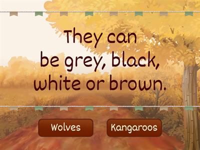 Wolves VS Kangaroos AS2 U1