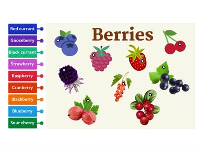 Berries of Belarus
