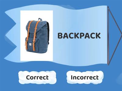 WHAT ARE YOU PACKING?  (TRAVEL VOCABULARY)