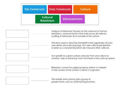 Culture Bias Key Terminology