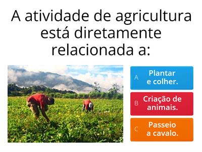 Agricultura, pecuária e extrativismo.