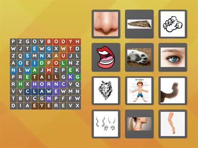 Animal body parts - wordsearch