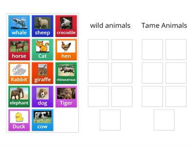 Wild Animals vs Tame animals