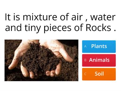 Soil Grade 3