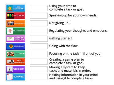 What is Executive Function? 