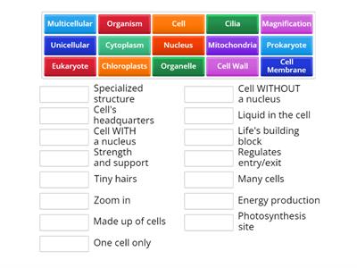 Module B Unit 1 "Cells"