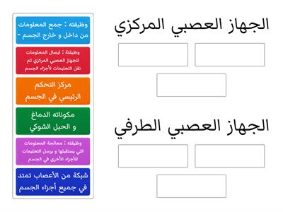 أجزاء الجهاز العصبي في الإنسان - أحياء الصف الثاني عشر - ف1-حصة العتيبي 