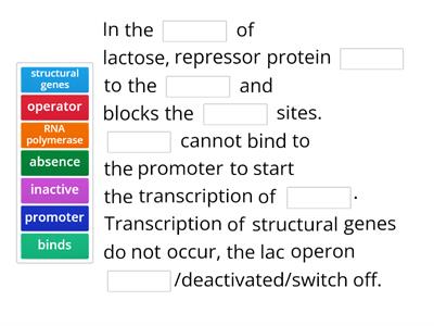 Explain the mechanism of lac operon in the absence and presence of lactose.