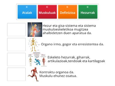 LOKOMOZIO APARATUA 5. MAILA