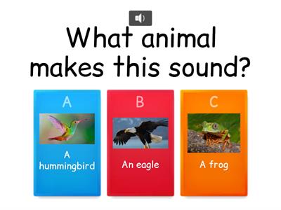 Animal Sounds