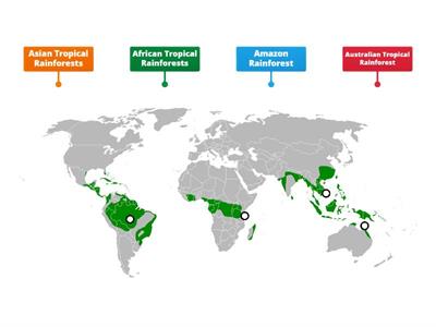 Main Tropical Rainforests in the World