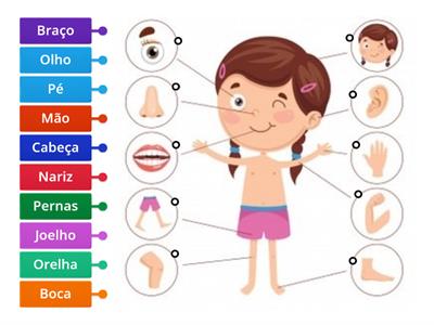 Partes Do Corpo Humano - Recursos De Ensino