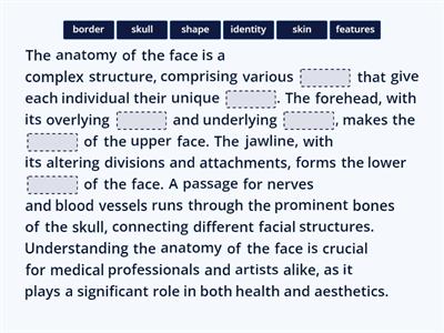 Facial anatomy nouns