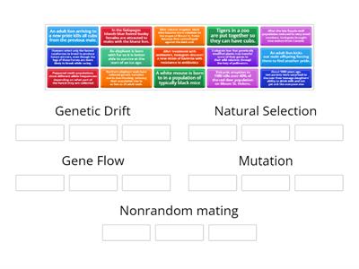 5 Factors of Evolution