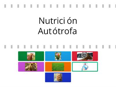 La nutricion 