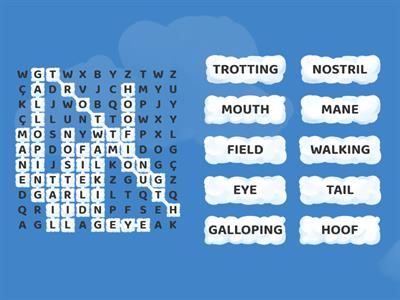 PRIMARY 2 HORSES WORDSEARCH