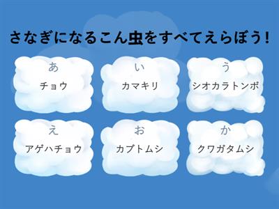 トンボやバッタを育てよう