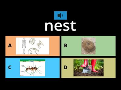 Insects, slugs and bugs - vocab, spelling (DRA decodable Level 4 NF2) pp. 5-9