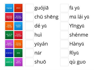 Y6 core - language english & pinyin