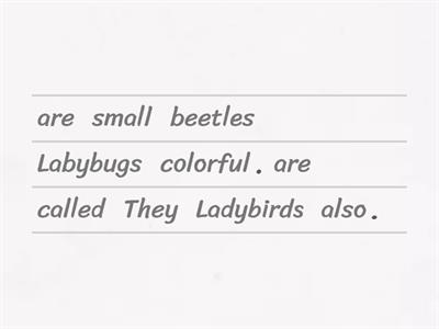 Ladybirds