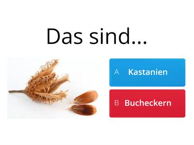 Blätter und Früchte der Bäume im Herbst