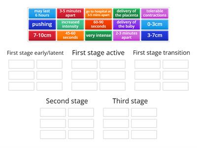 Stages of Labor