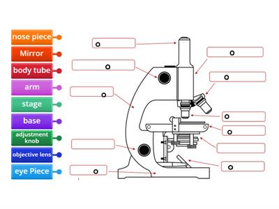 microscope 