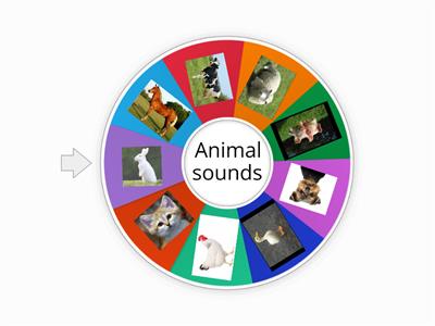 Animals wheel - Kindergarten